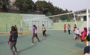 永利集团304am官方入口举行庆三八女子排球比赛